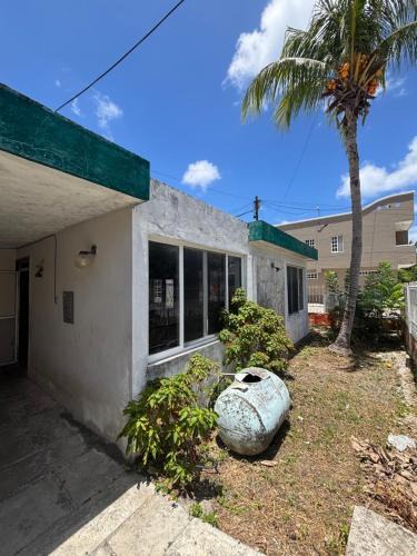 Colonia Andres House | Casa tortuga