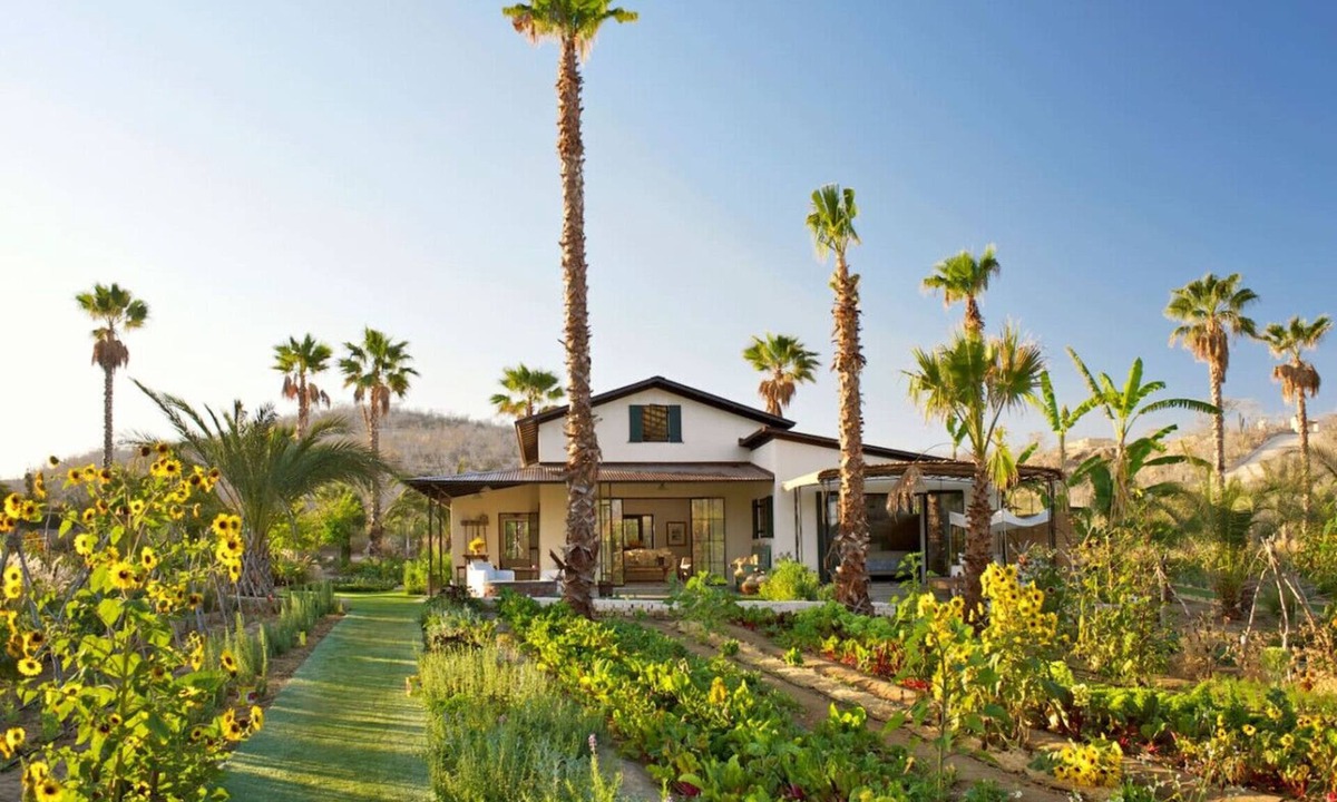 San Jose del Cabo House | Culinary Cottages at Flora Farms 2-BR with Pool
