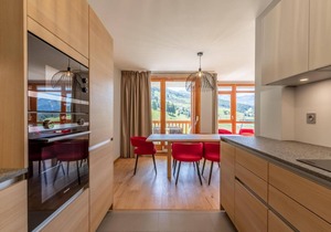 9th floor, view ski slopes, fitness, swimming pool, sauna, hammam, balcony, fireplace or stove, tv