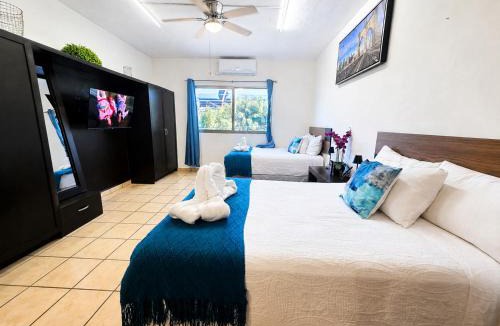 Ildefonso Green Apartment | Cabo Downtown Studios