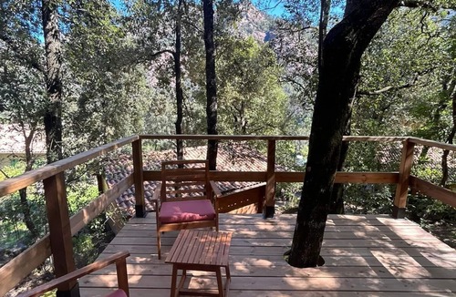 Calenzana Ski Chalet | Chalet de Location au Cœur de la Forêt. Randonnées Entre Rivière et Montagne