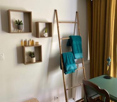 Jouvence House | Chambre Cocoon dans une maison avec SPA et jardin en centre ville