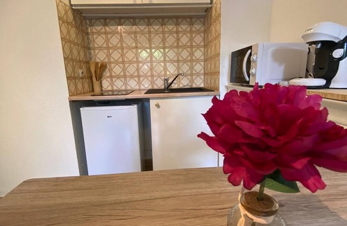 Alco Apartment | Charmant Studio Avec Jardin Privé