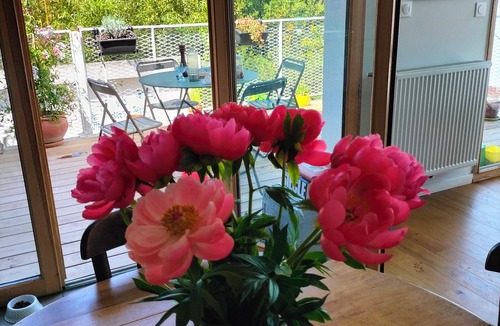 Gambetta Apartment | Lovely apartment in the heart of Montpellier (10-minute walk from downtown)