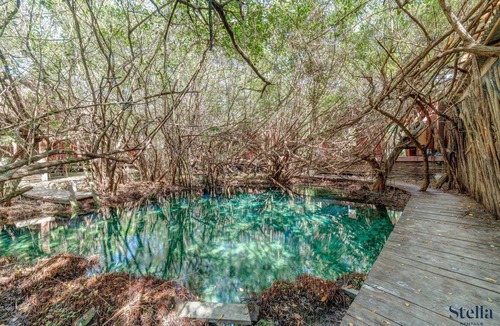 Zona Hotelera Apartment | NEW Jungle Stay, Pool and 2 Cenotes, Beach 200m!