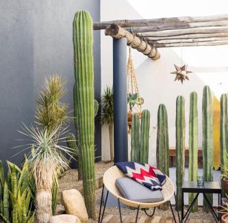 Downtown San Jose del Cabo House | Outsite Los Cabos - Entire 4-Bedroom Home