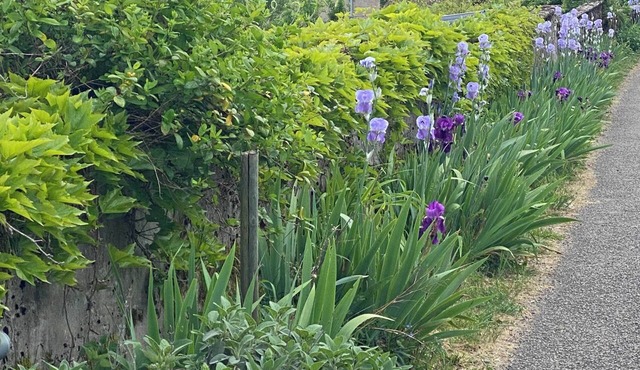 Bed and Breakfast - Guest Dining in the hills of southern Burgundy.