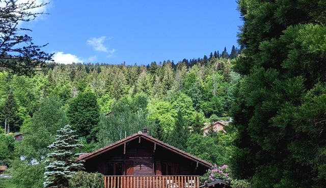Chalet Cosy et Nature avec Grand Jardin & Vue Montagne | Ideal for Family and Friends