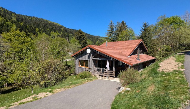 Cozy Mountain Chalet Near La Bresse Ski, WiFi, Private Access, 2 Terraces, Pet-Friendly