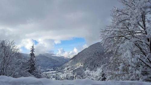 Gite de L'ours