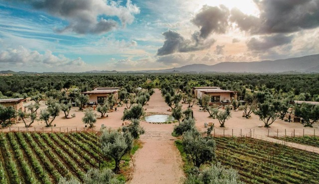 Hábimo - Valle de Guadalupe