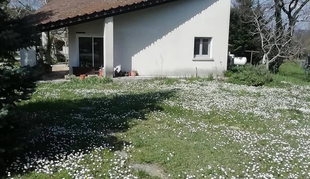 House with pool