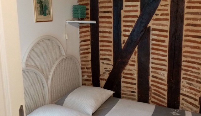 Typical 1-star 2-room apartment facing Tours castle and cathedral