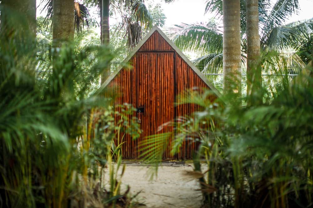 Photo of Outdoor in Buenavista