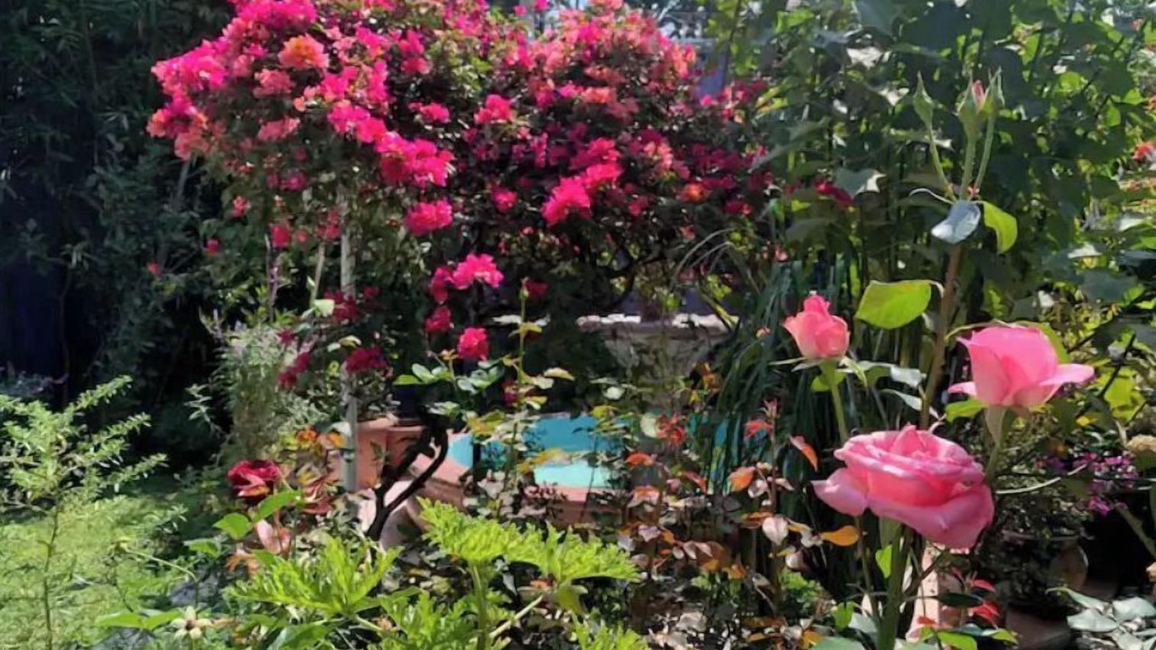 Photo of Outdoor in Del Carmen