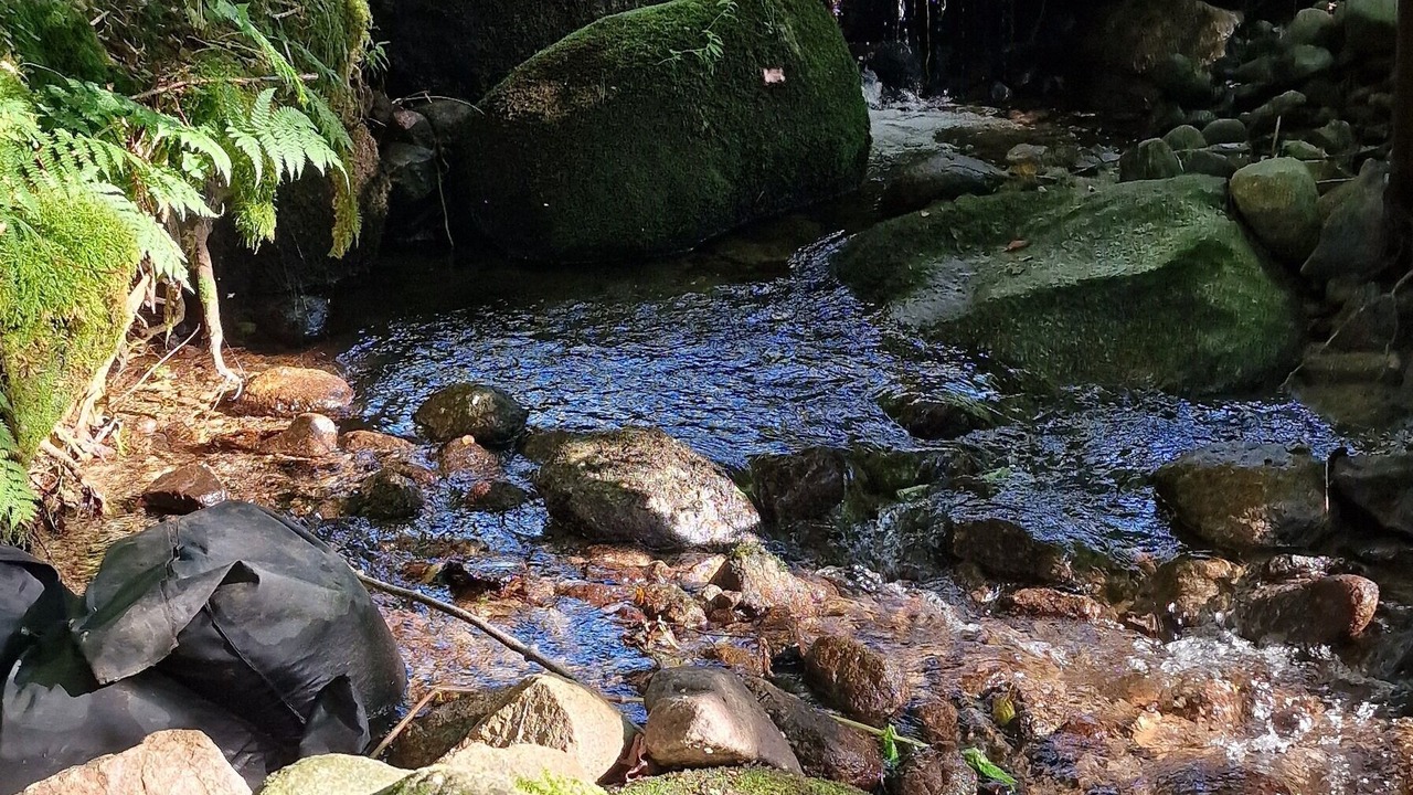 Photo of Others in Le Thillot