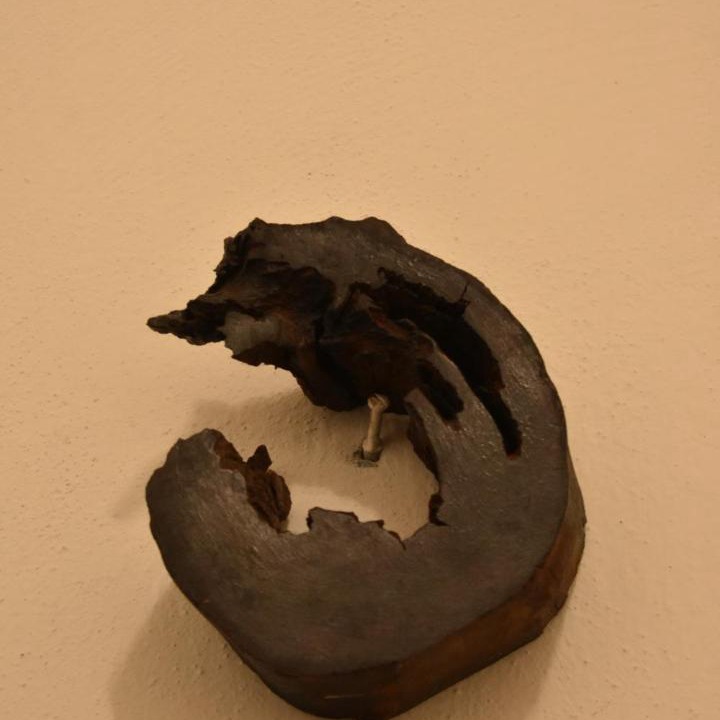 Photo of Others in Crucecita